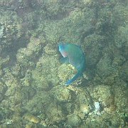 Picture 074
